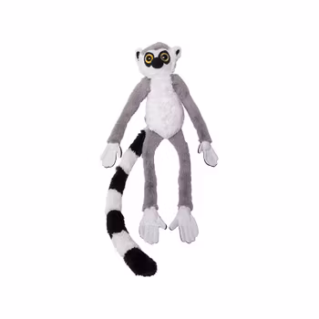Nature Planet Lemur