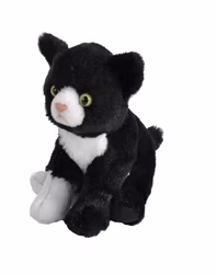 Svartvit Katt