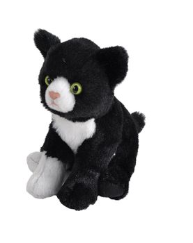 Svartvit Katt
