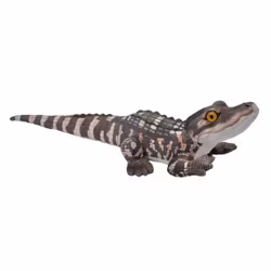 Alligatorunge
