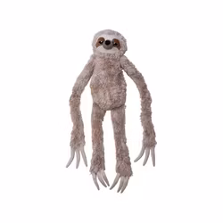 Stor Hängande Sengångare