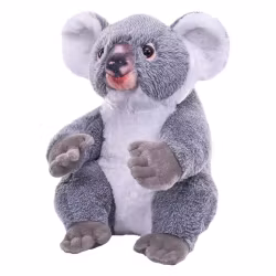 Artist Koala