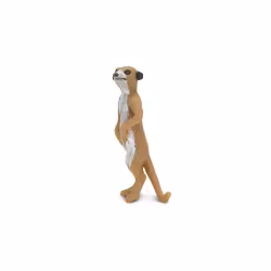 Mini Surikat