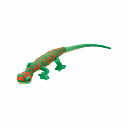Funkyland Madagascar Day Gecko