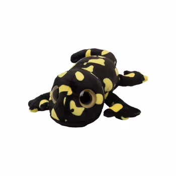 Zooper Gecko Svart