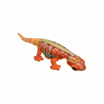 Funkyland Skäggagam