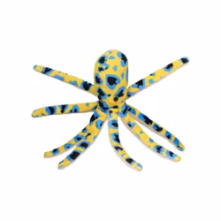 Magnet Blåringad Bläckfisk