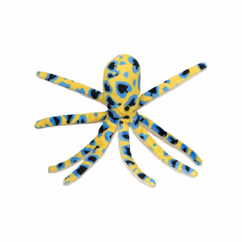 Magnet Blåringad Bläckfisk