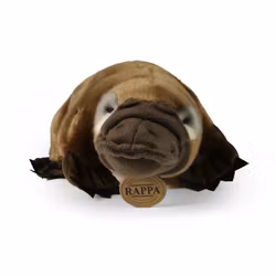 Näbbdjur