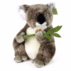 Koala med Eukalyptus