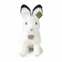 Polarhare