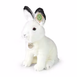 Polarhare