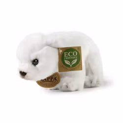 Isbjörn