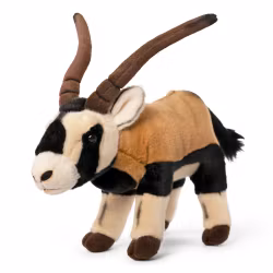 Oryx Antilop