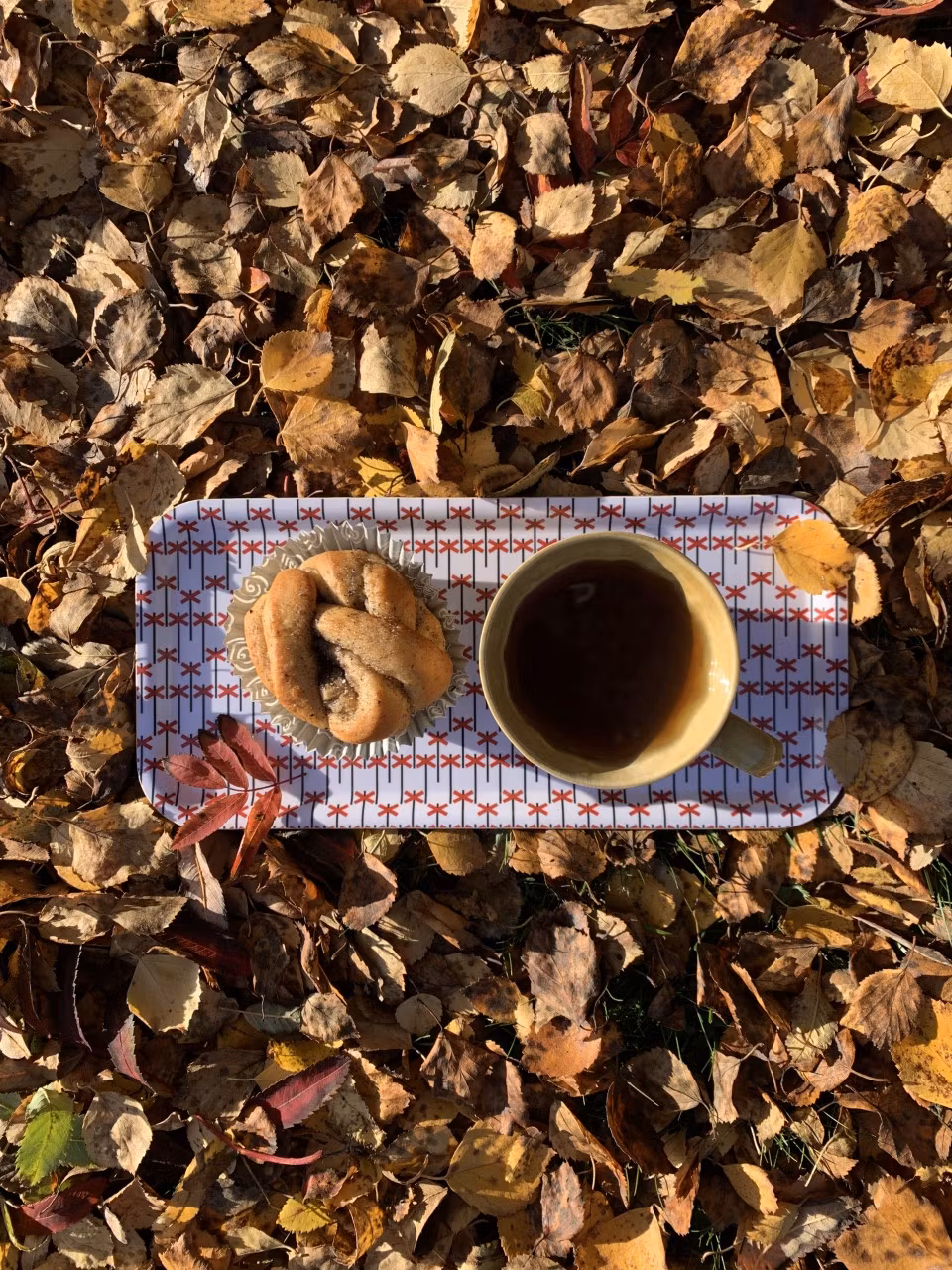 LEDKRYSS avlång frukostfikabricka