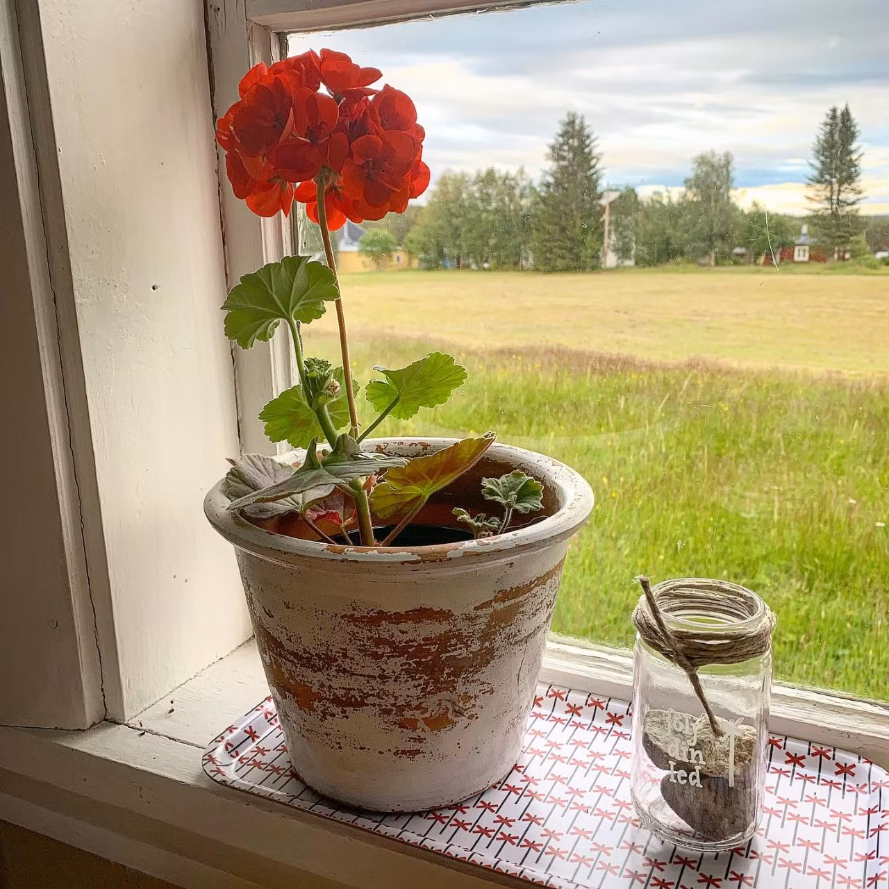 LEDKRYSS avlång frukostfikabricka