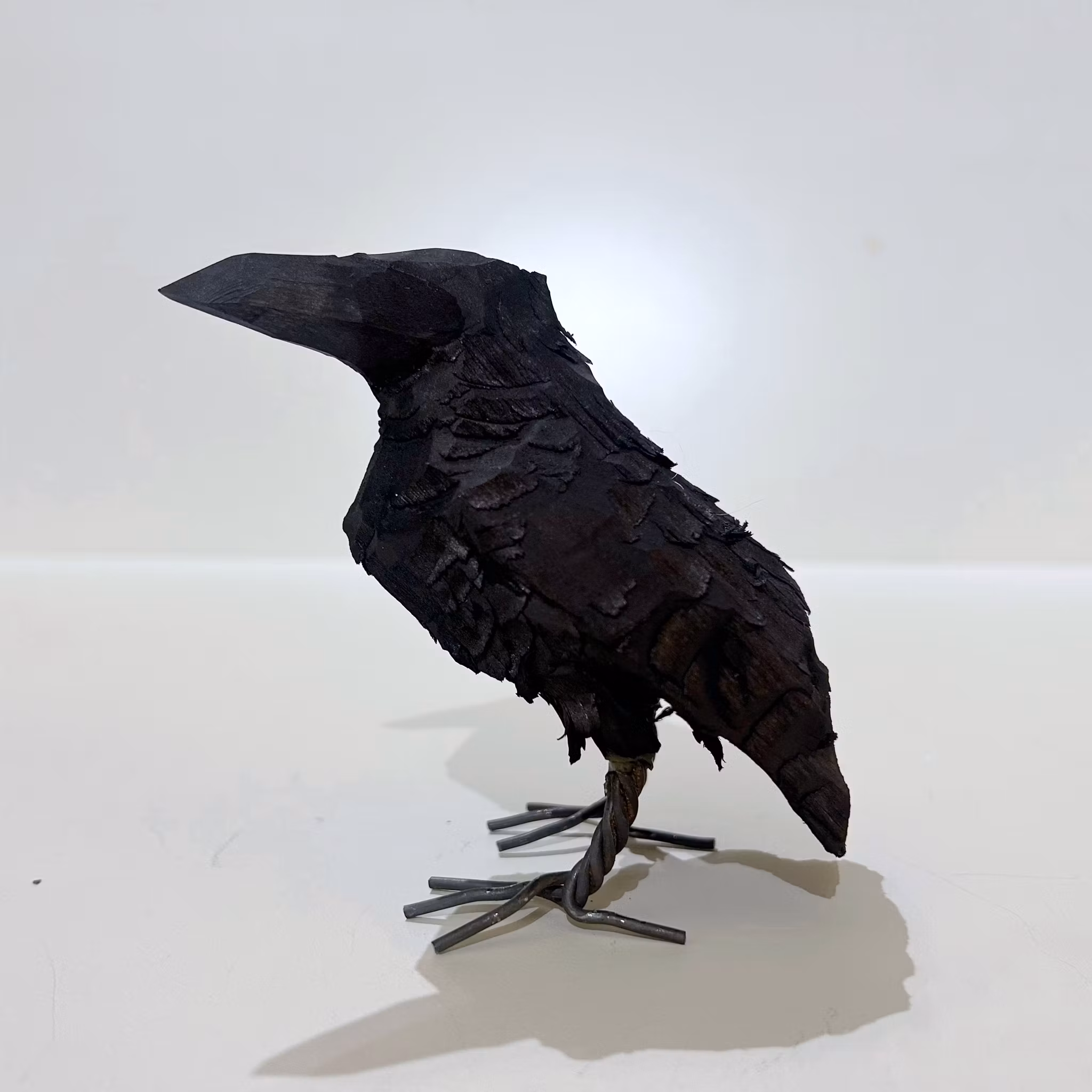 Mellan korp i svart trä