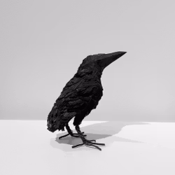 Mellan Korp i svart trä