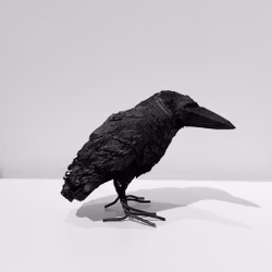 Mellan Korp i svart tråd