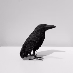 Mellan Korp i svart trä