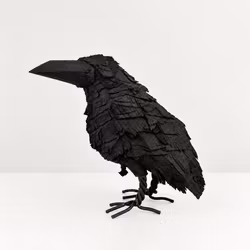 Korp - mellan