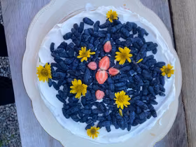 Blåbärstry 'Vostorg'