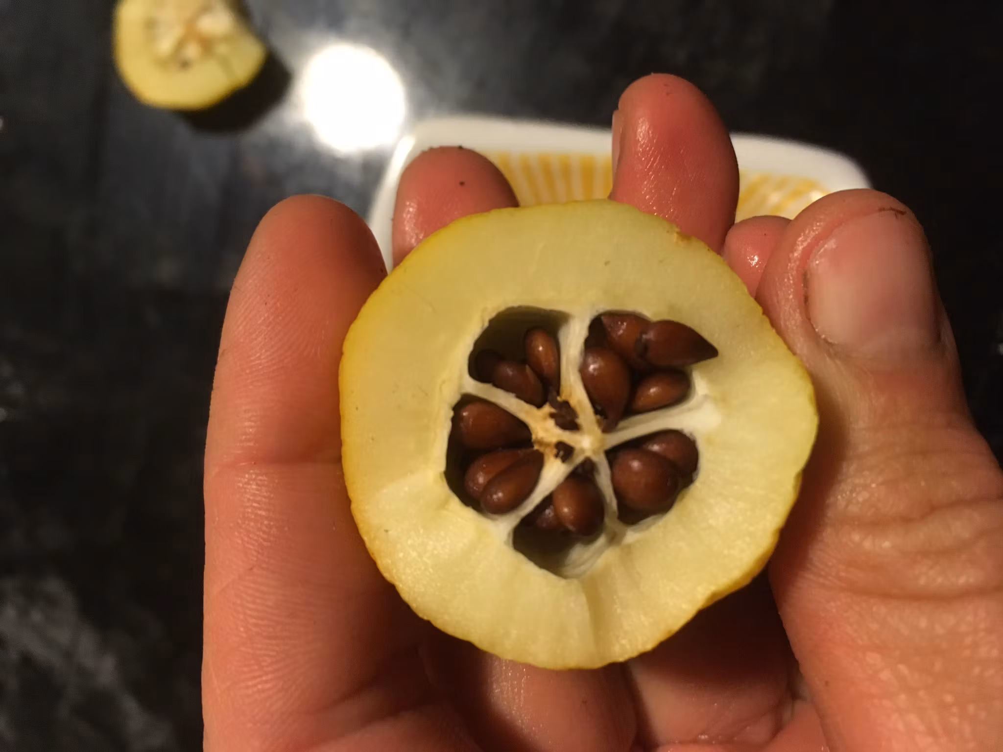 Liten rosenkvitten 'BALSGÅRD Siri'