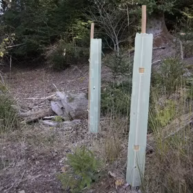 GROWtect Microvent Trädplanteringsskydd, Längd 120 cm