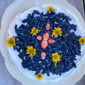 Blåbärstry 'Blue Rock' ('Sinij Utes')