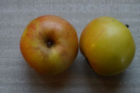 Äpple 'Gravensteiner'