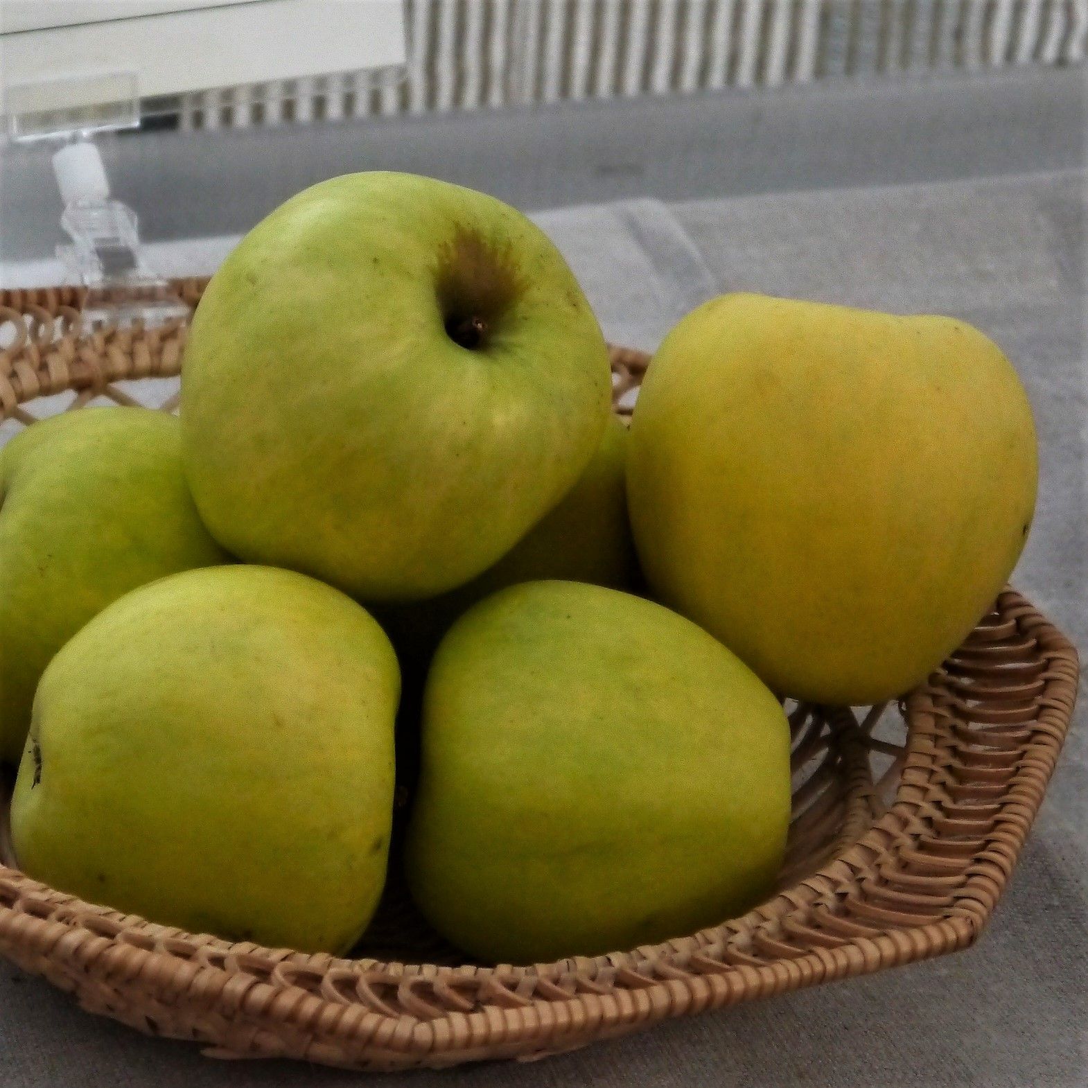Äpple 'Gul Richard'
