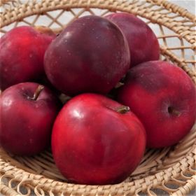 Äpple 'Rödluvan'