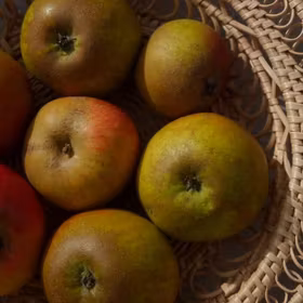 Äpple 'Ribston'