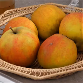 Äpple 'Holsteiner Cox'