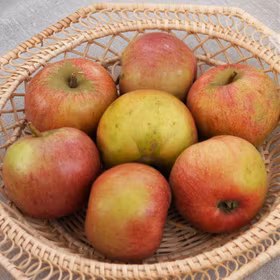 Äpple 'Cellini'