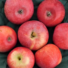 Äpple 'Amorosa' ('Röd Aroma')