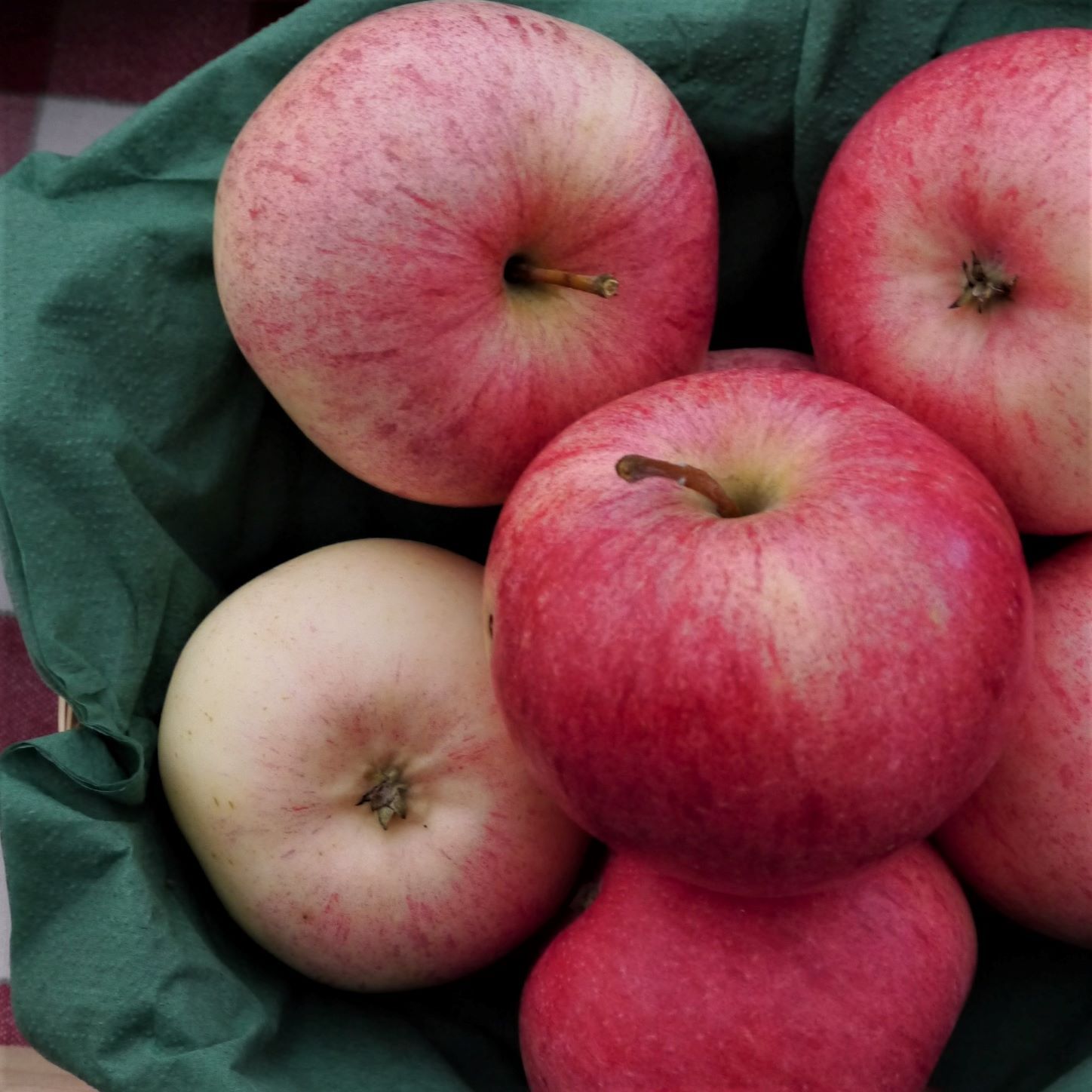 Äpple Särsö