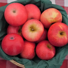 Äpple 'Discovery'