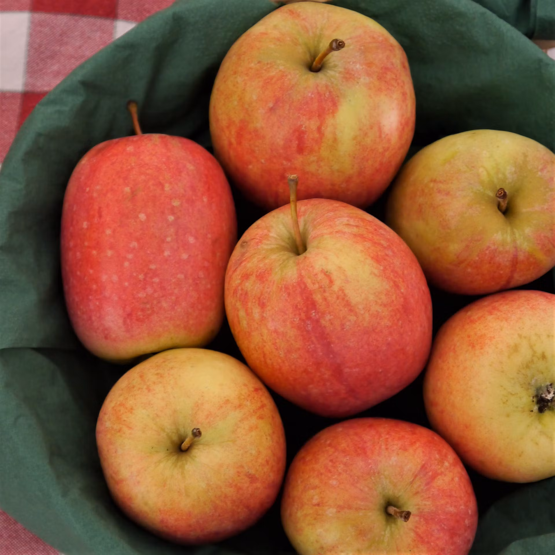 Melon äpple kallas också för Citronäpple