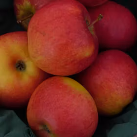 Äpple 'Rubinola'