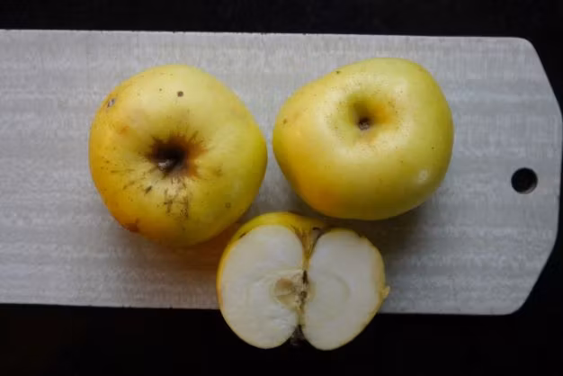 Äpple Stenkyrke