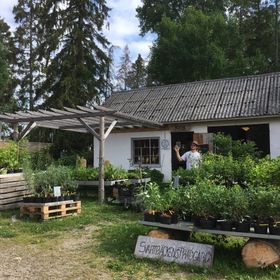 Krusbär 'Hinnonmäki Gul'