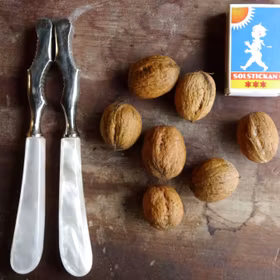 Äkta valnöt 'Broadview'