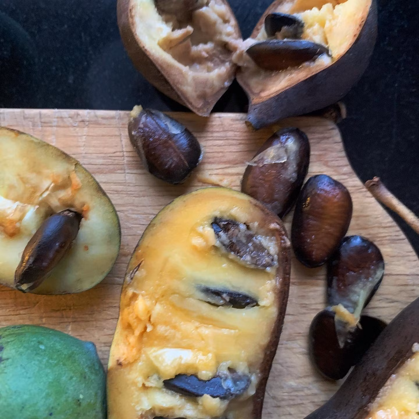 Pawpaw 'Davis'