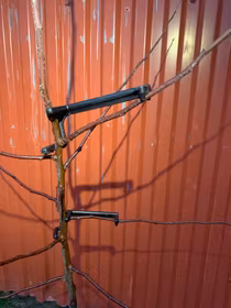 Grenböjare, 5-pack.