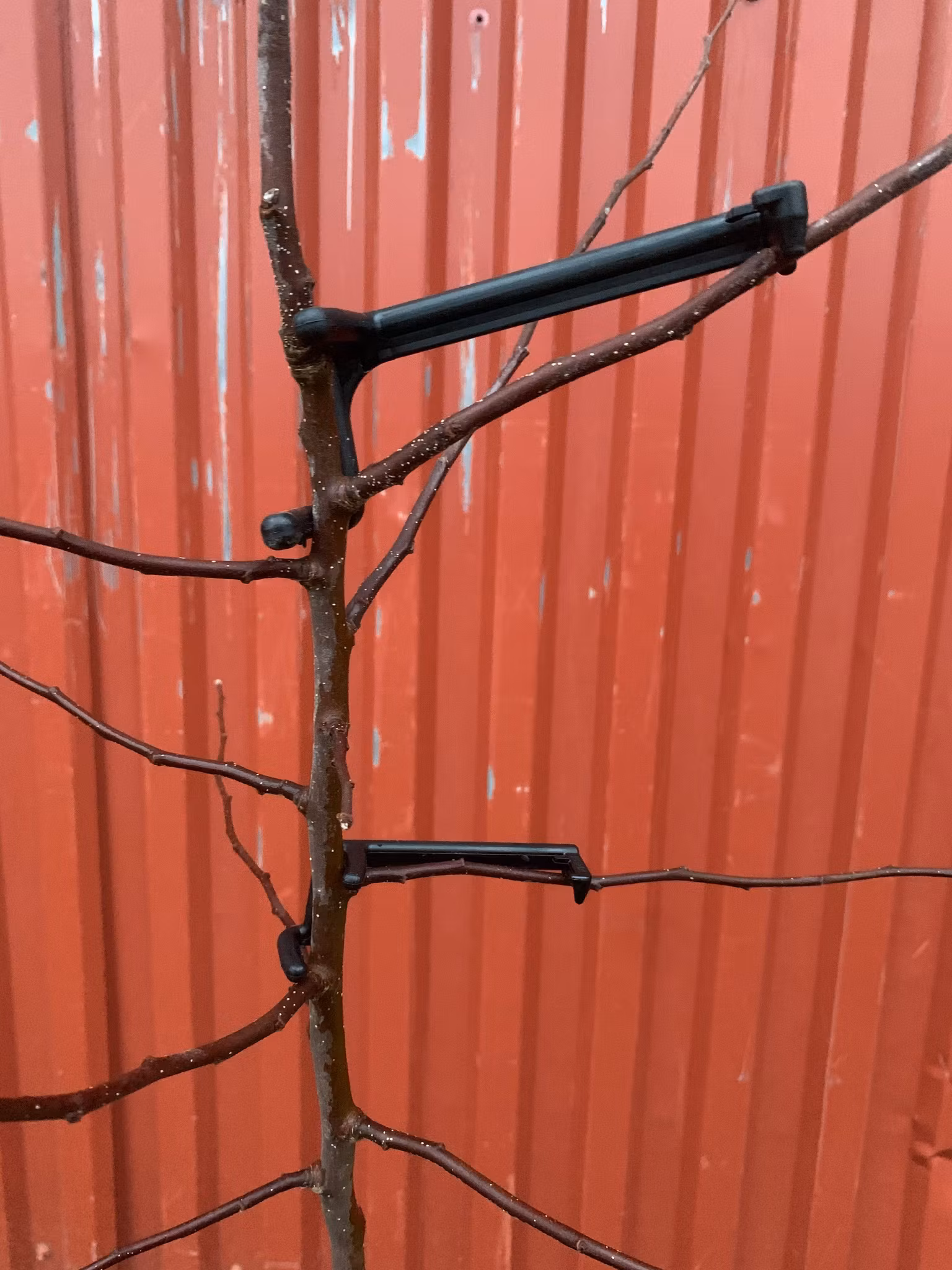 Grenböjare, 10-pack.