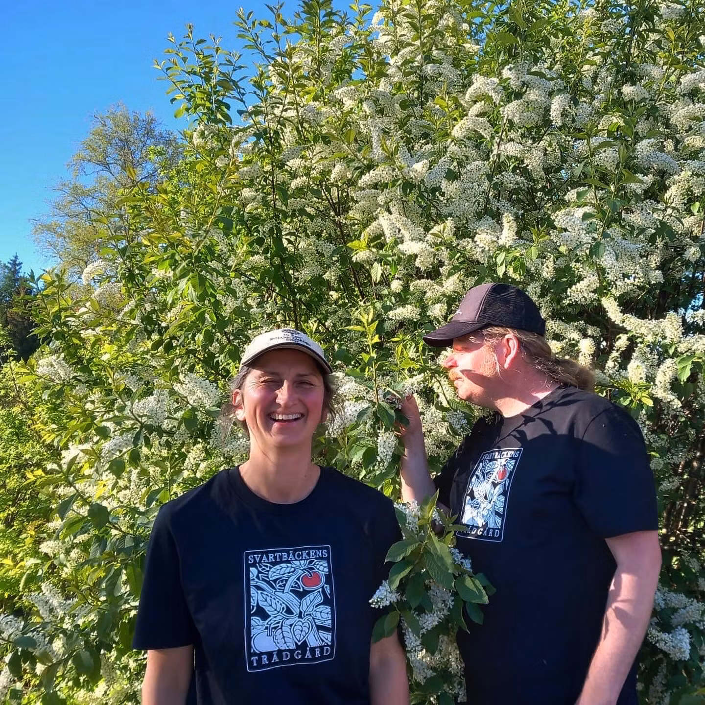 T-shirt (100% ekologisk bomull)