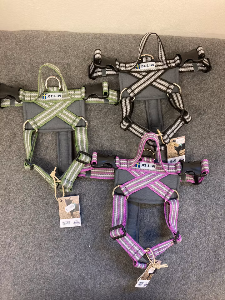 Metizo Future walking sele