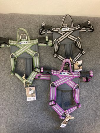 Metizo Future walking sele