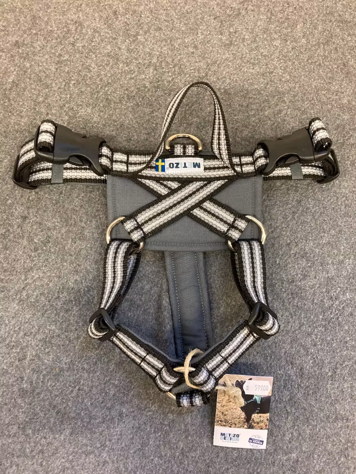 Metizo Future walking sele